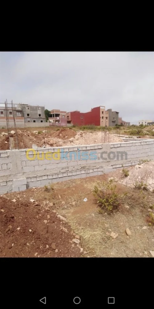 Vente Carcasse Tlemcen Souahlia