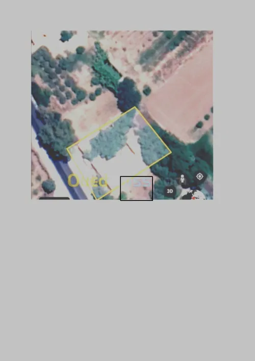 Vente Terrain Mostaganem Mansourah