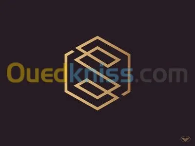 انشاء شعار احترافي  logo design 