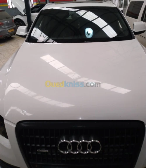 Audi Q5 2010 S Line Pack Tech