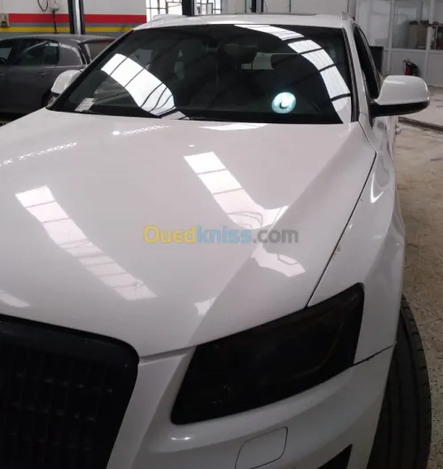 Audi Q5 2010 S Line Pack Tech