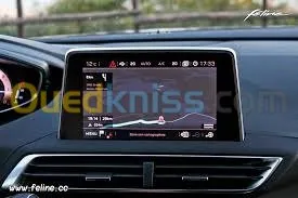 GPS (cartographie peugeot Citroën)
