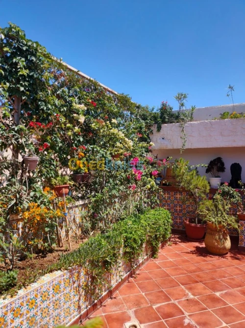 Vente Duplex F5 Alger Souidania