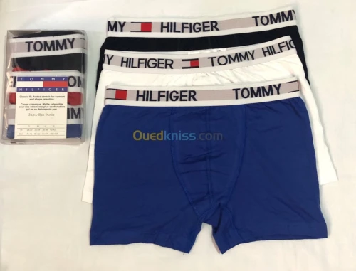 Boxer italie 