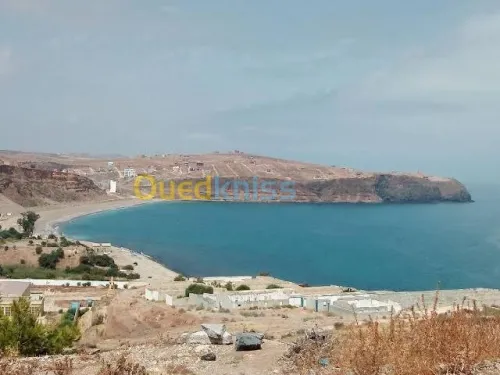 Vente Terrain Tlemcen Souk tlata