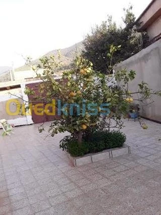 Vente Villa Chlef Sidi abderrahmane