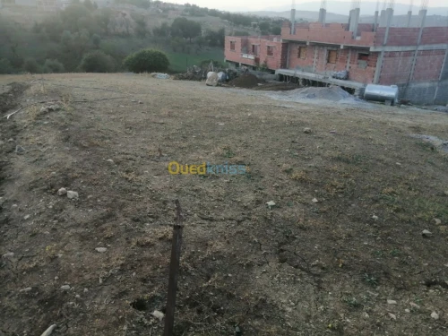 Vente Terrain Mila Mila