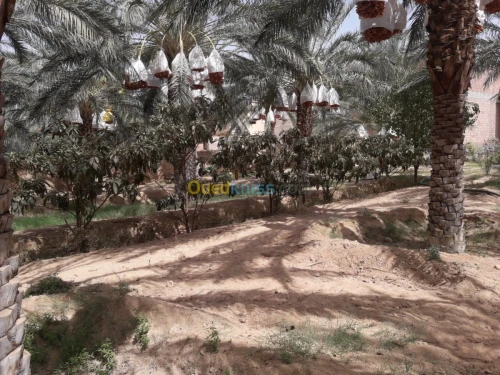 Vente bien immobilier Biskra Tolga