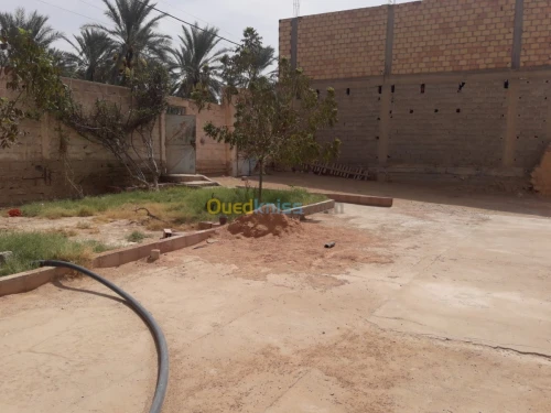 Vente bien immobilier Biskra Tolga