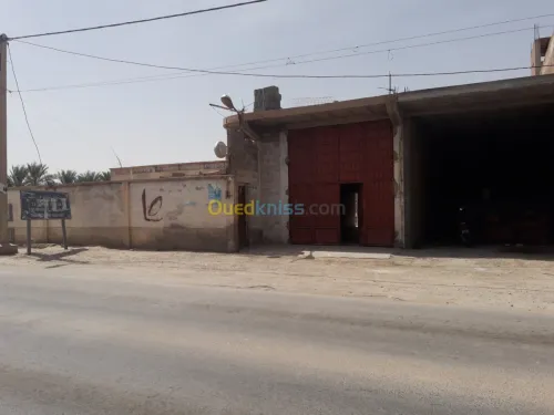 Vente bien immobilier Biskra Tolga