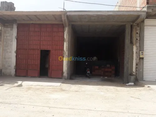 Vente bien immobilier Biskra Tolga