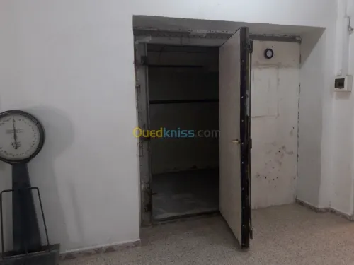 Vente bien immobilier Biskra Tolga