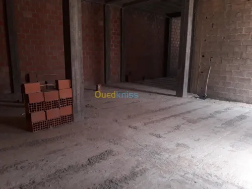 Vente bien immobilier Biskra Tolga