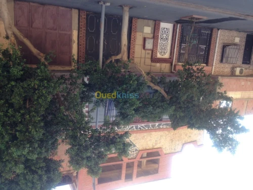 Vente Villa Chlef Chlef