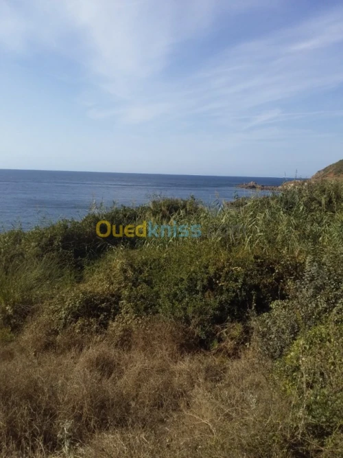 Vente Terrain Jijel El aouana