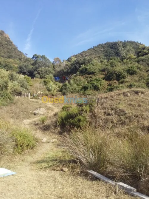 Vente Terrain Jijel El aouana