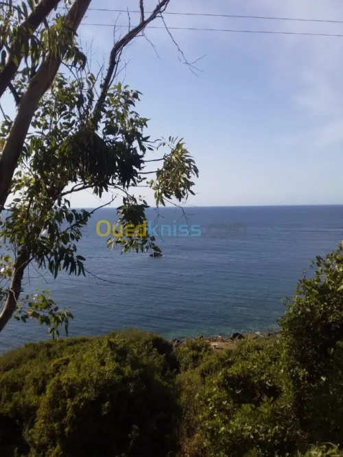 Vente Terrain Jijel El aouana