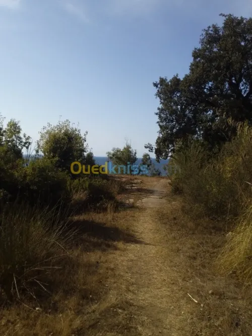 Vente Terrain Jijel El aouana