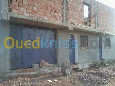 Echange Niveau De Villa F3 Ain temouchent Sidi safi