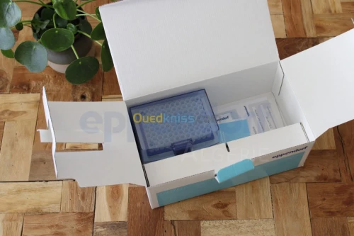 Micropipette Eppendorf 100 – 1000 µL