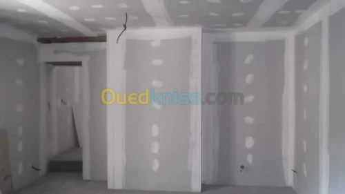 Faux plafond pvc / ba13