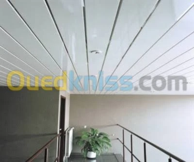 Faux plafond pvc / ba13