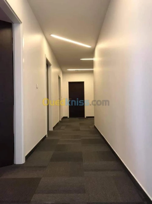 Faux plafond pvc / ba13