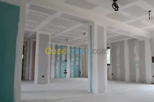 Faux plafond pvc / ba13