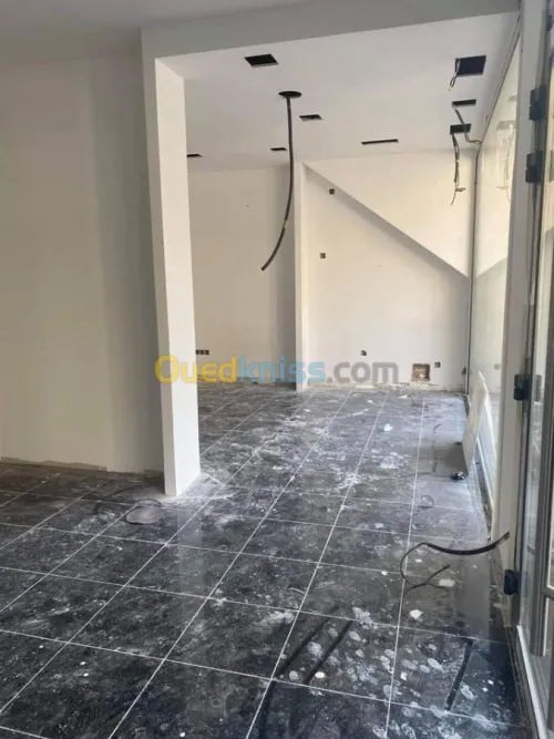 Faux plafond pvc / ba13