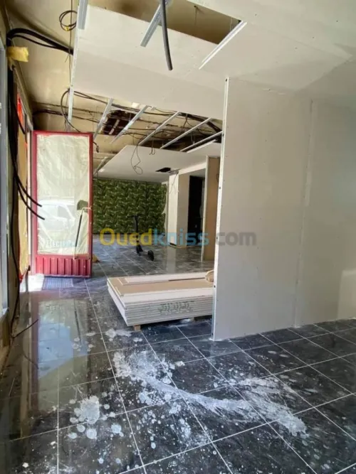 Faux plafond pvc / ba13