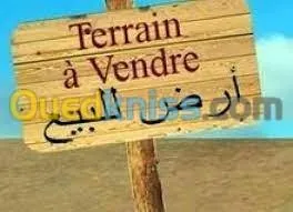 Vente Terrain Ouargla Rouissat