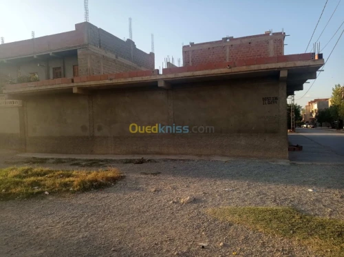Vente bien immobilier Oum el bouaghi Meskiana