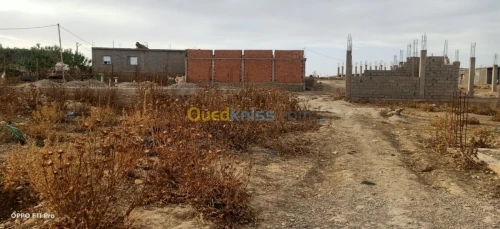 Vente Terrain Tlemcen Tlemcen