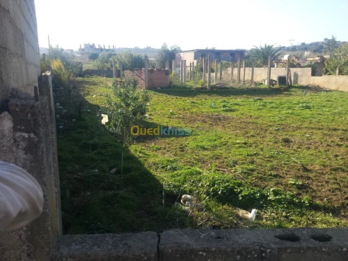 Vente Terrain Boumerdes Boudouaou