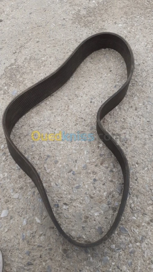 courroie texrope vsx 1664 l 