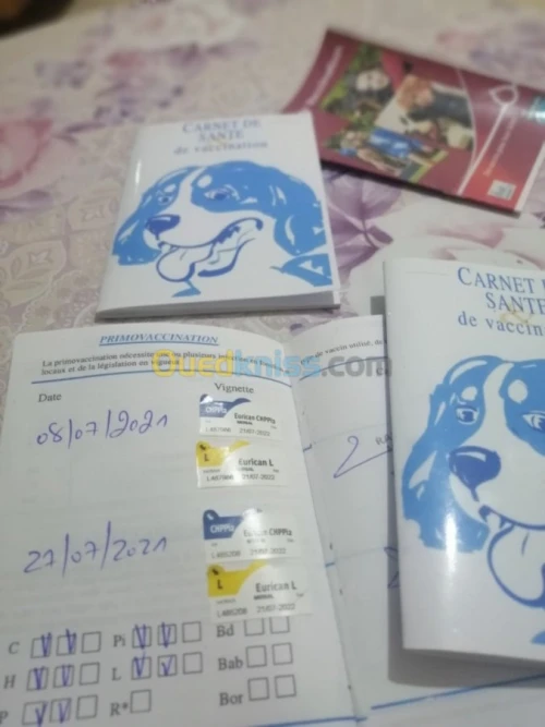 حي العمراني