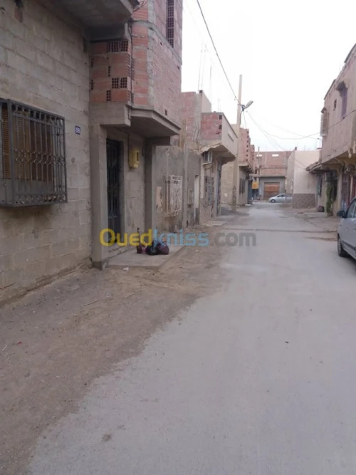 Vente Carcasse Biskra Chetma