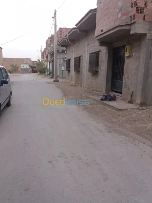 Vente Carcasse Biskra Chetma