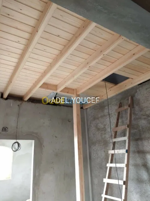 Charpente en bois (greniers, tuiles...