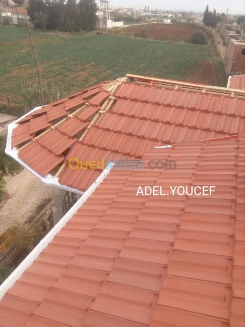Charpente en bois (greniers, tuiles...