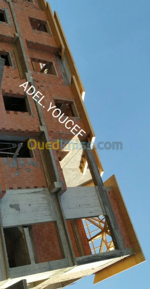 Charpente en bois (greniers, tuiles...