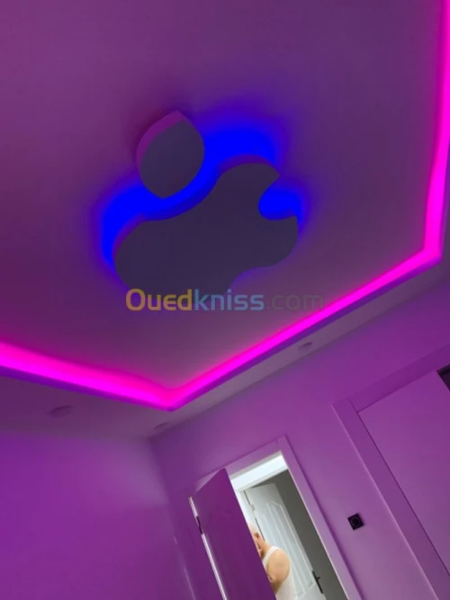 Placo plâtre 