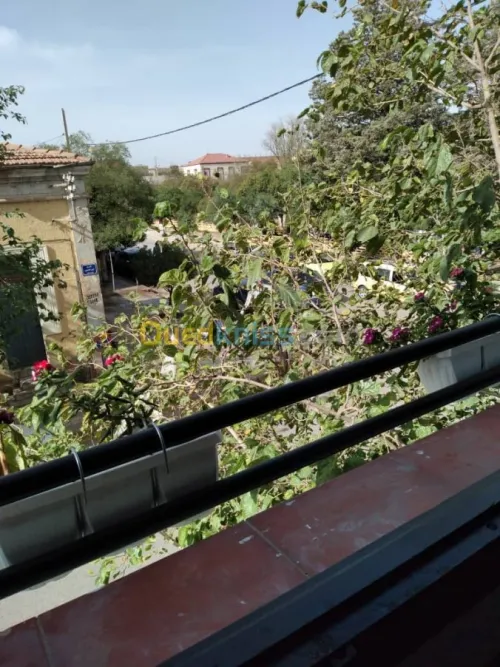 Vente Appartement F6 Tiaret Sougueur
