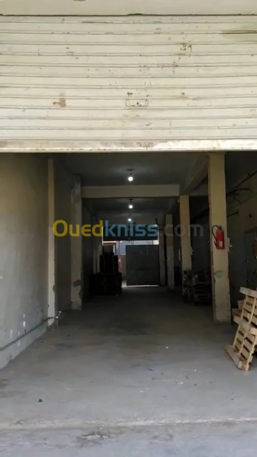 Location Hangar Biskra Biskra