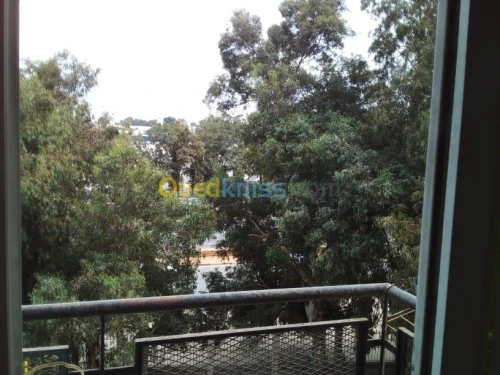 Vente Appartement F3 Alger Chevalley