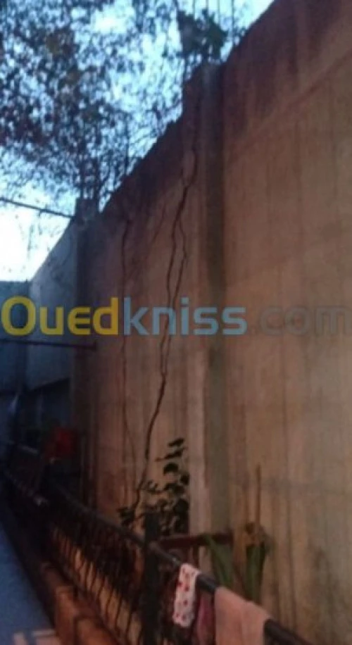 Vente Villa Chlef Chettia
