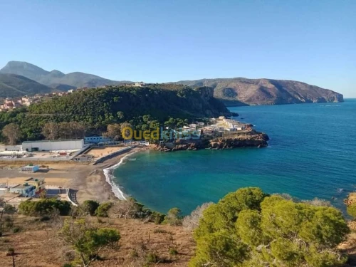 Vente Terrain Tlemcen Honaine