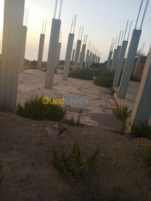 Vente Terrain Tlemcen Honaine