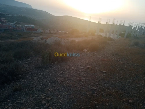 Vente Terrain Tlemcen Honaine