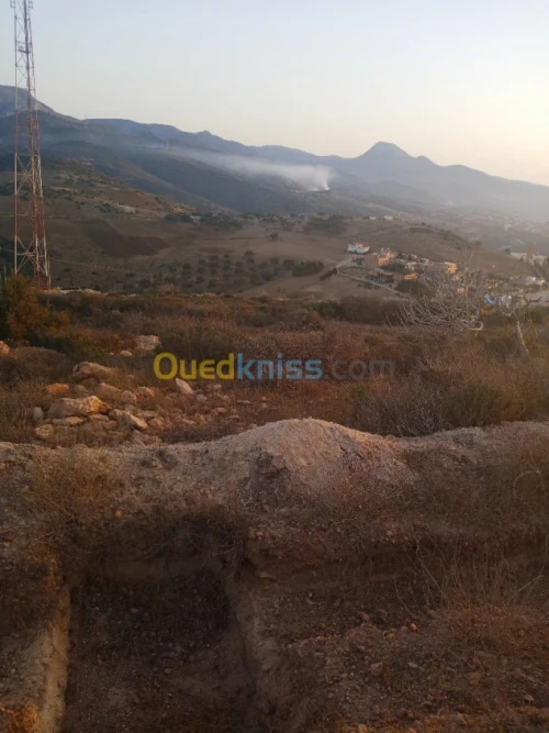 Vente Terrain Tlemcen Honaine
